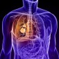 Actu PRO : Cancer du poumon : l'influence majeure du microbiote pulmonaire