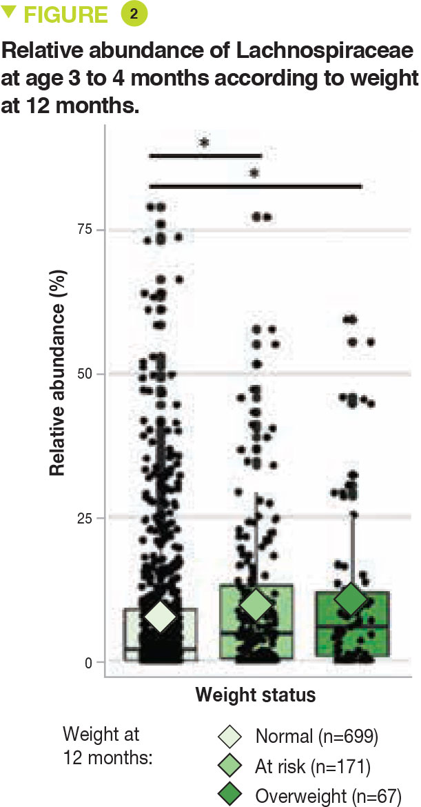 Figure3-Article3-NL06-en