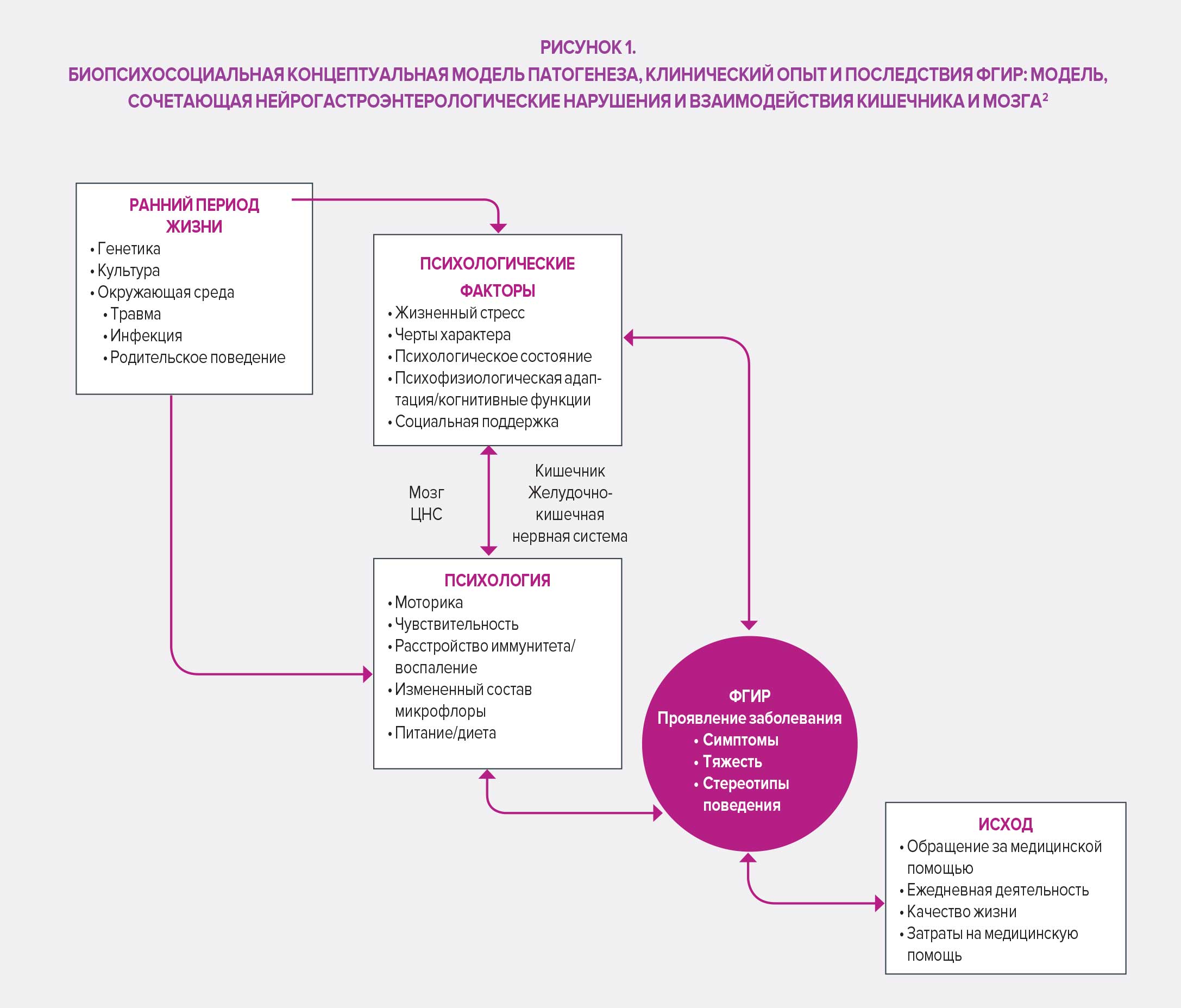 Functional-gastrointestinal-RU-infography1