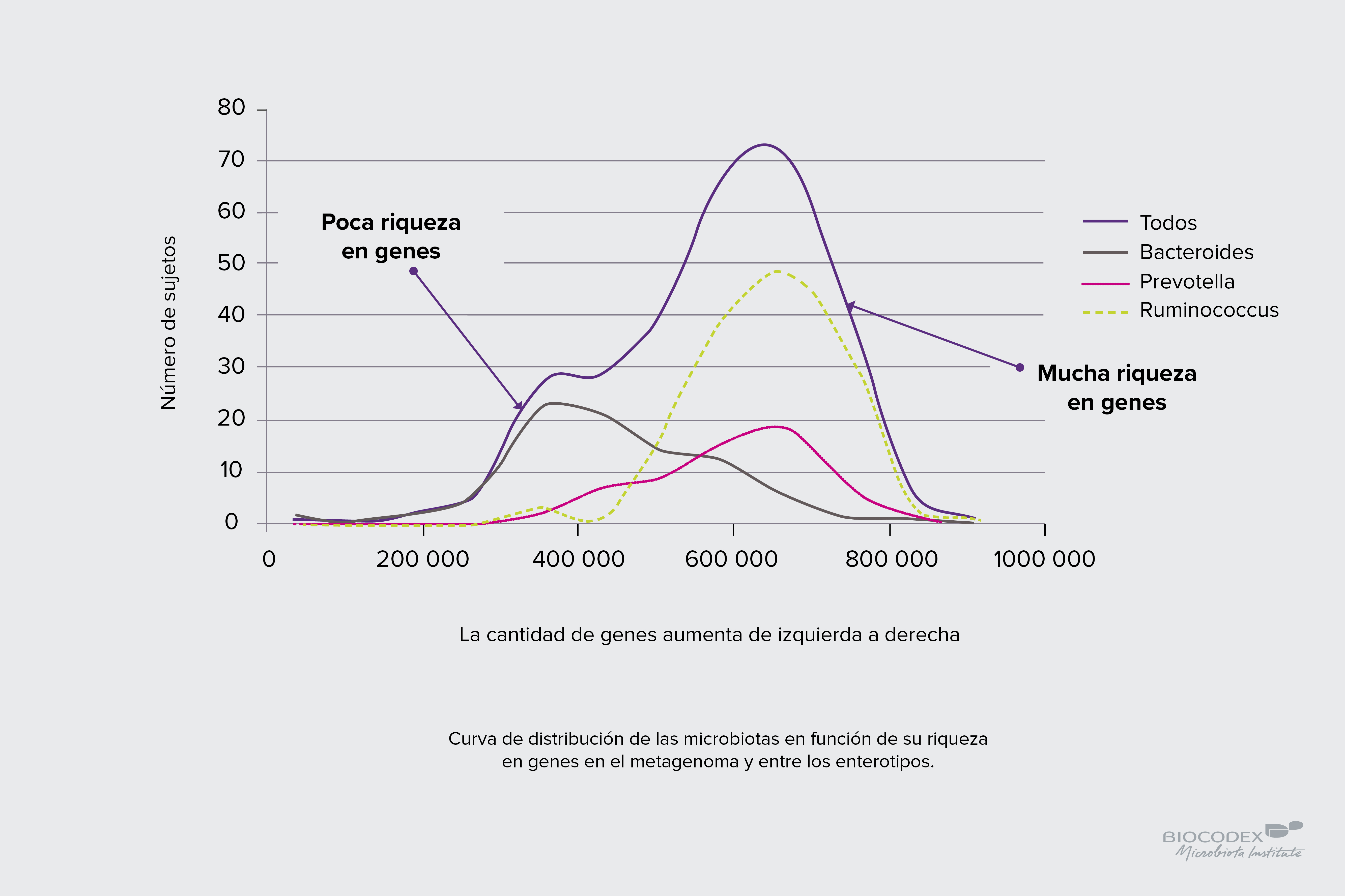 Infographie_courbe de distribution des microbiotes_ES.jpg