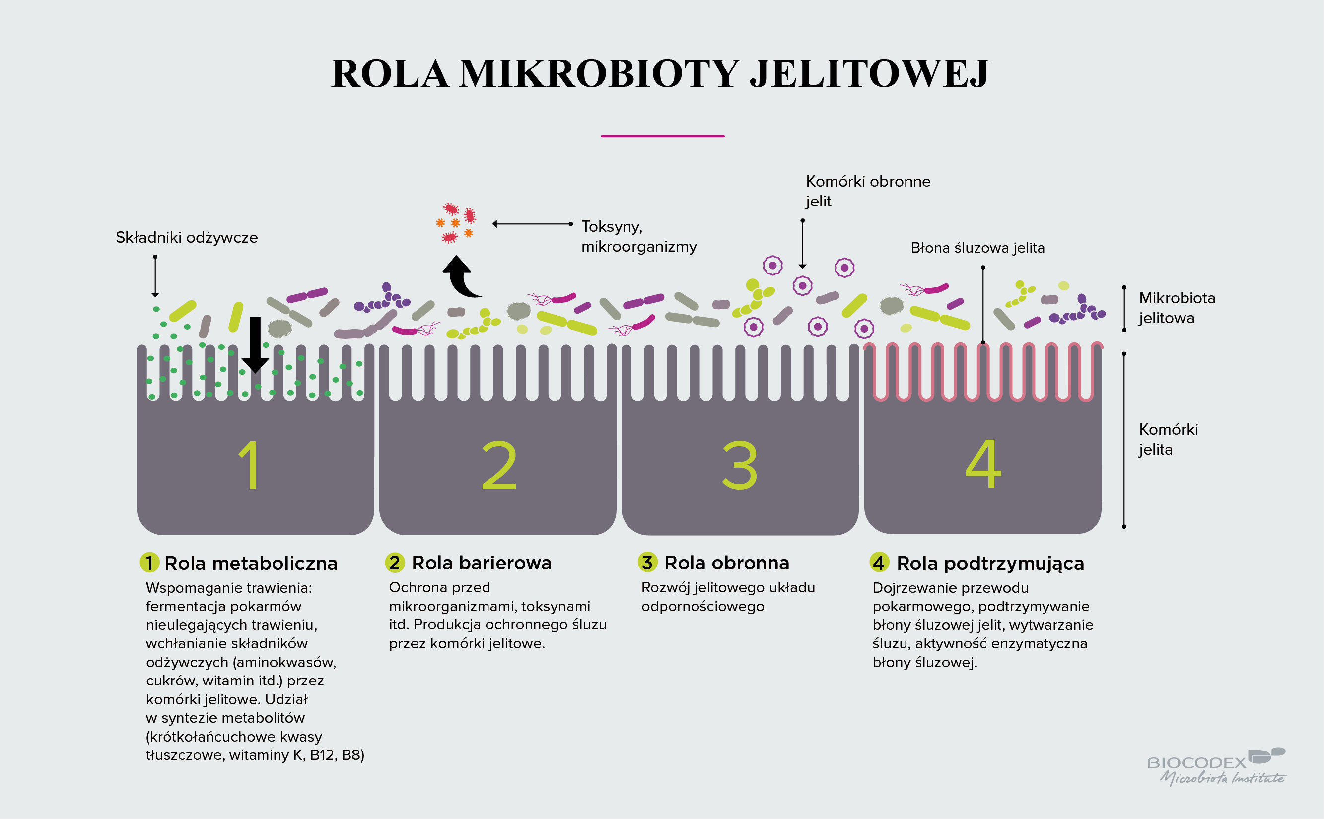 Infographie fonction