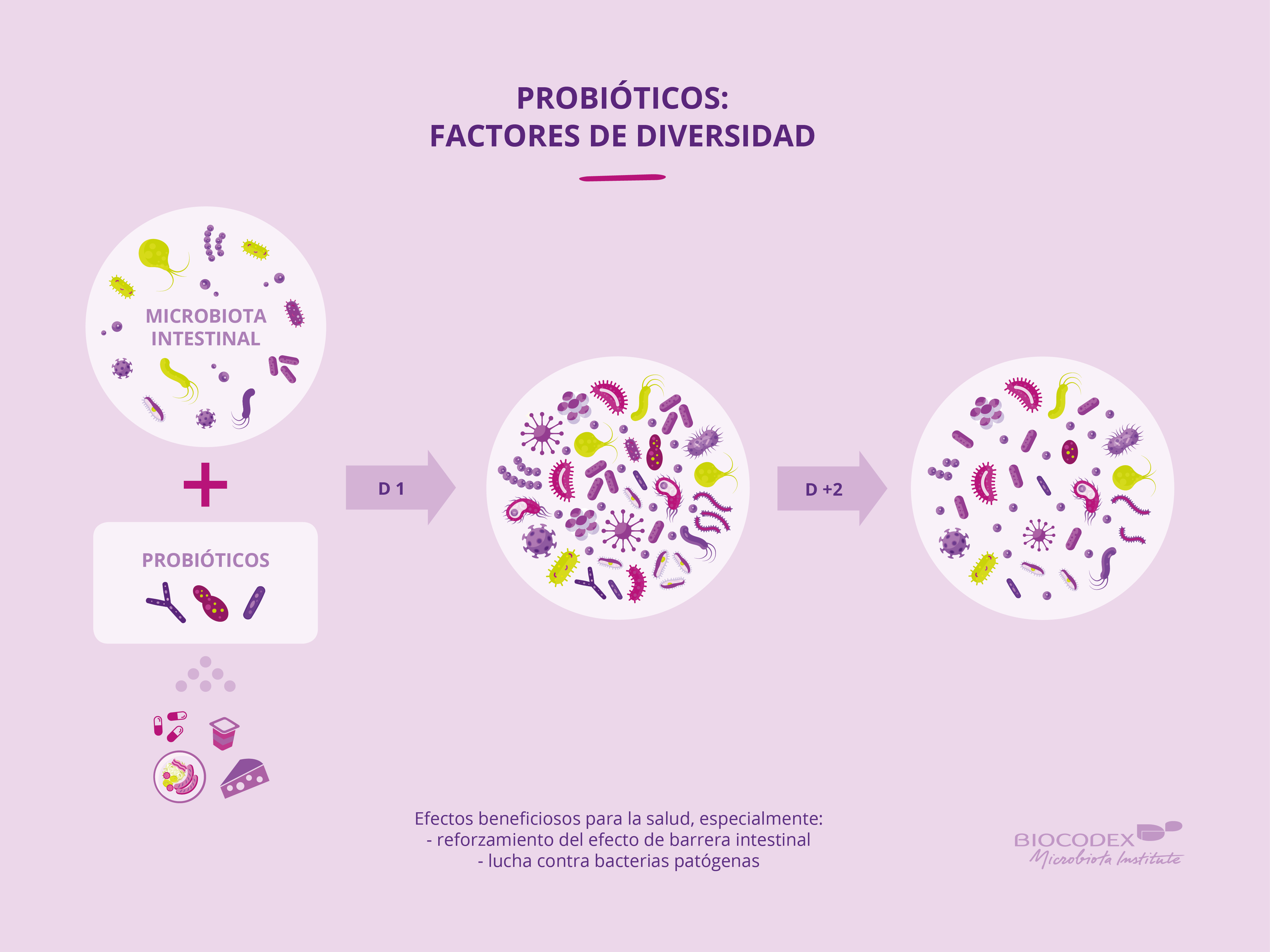 Probióticos