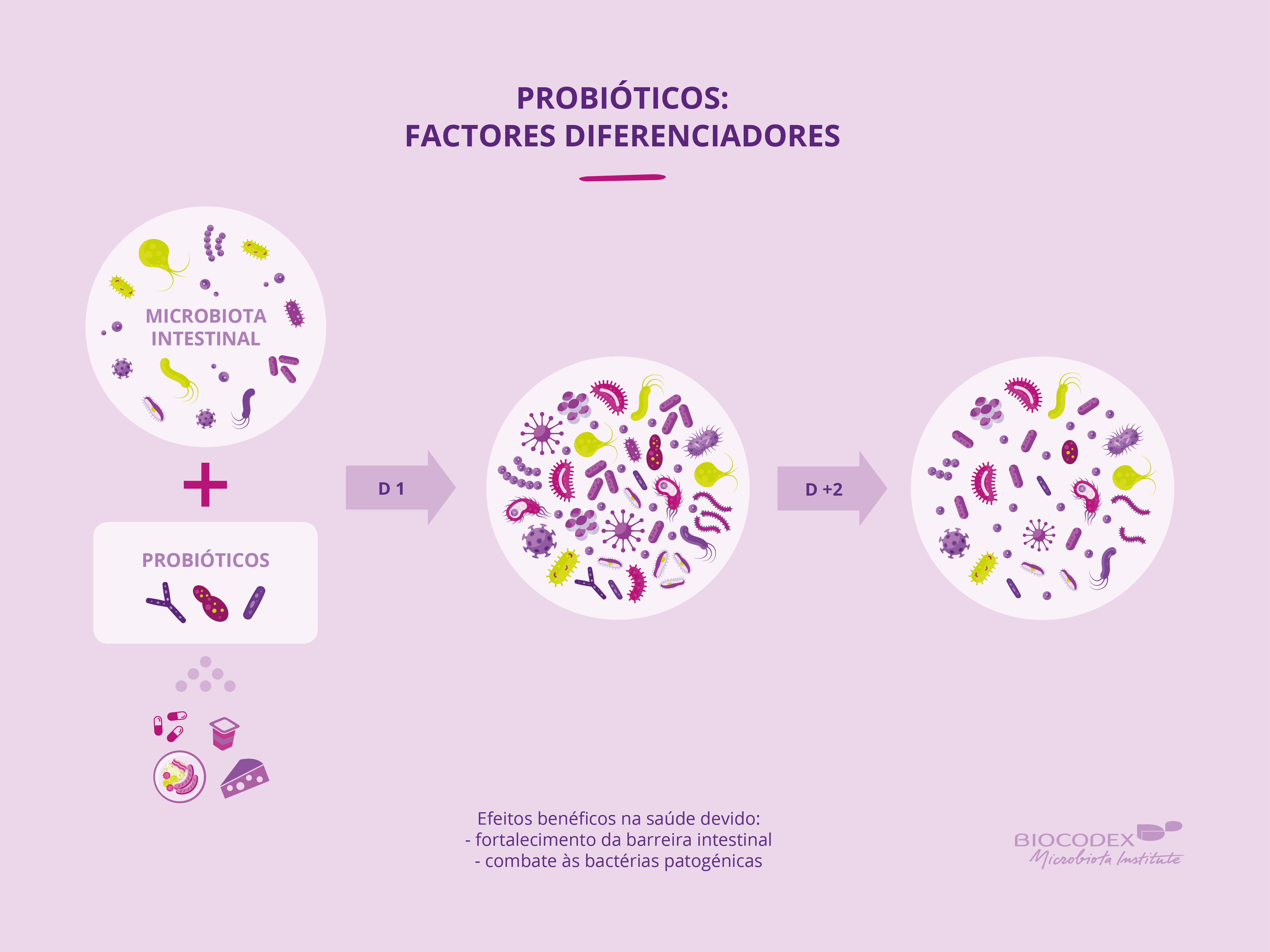 probióticos