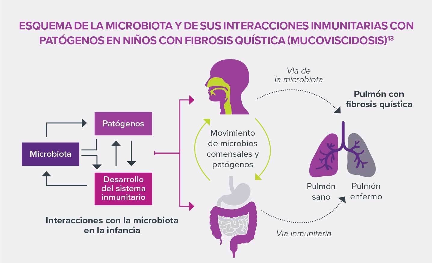 Microbiota-respiratoria-infografia-1