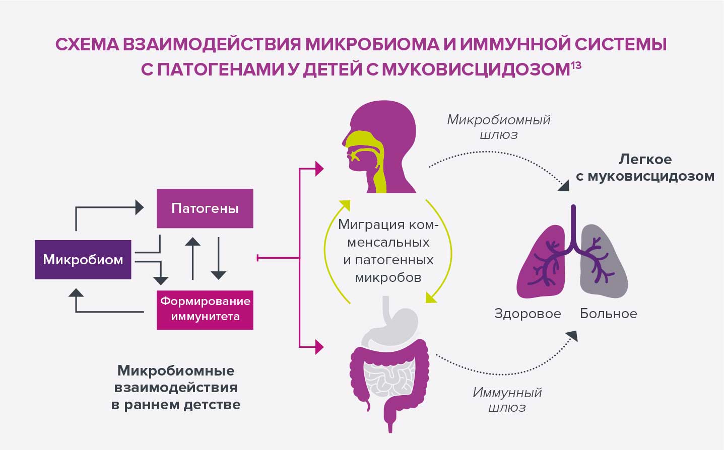 Respiratory-microbiota-RU-infographie-1