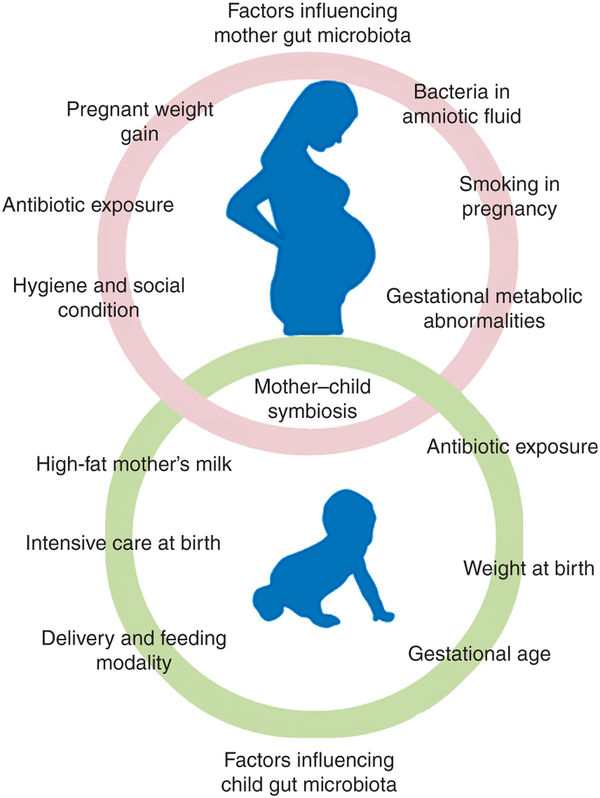 biocodex actu pro schéma bifidotherapie