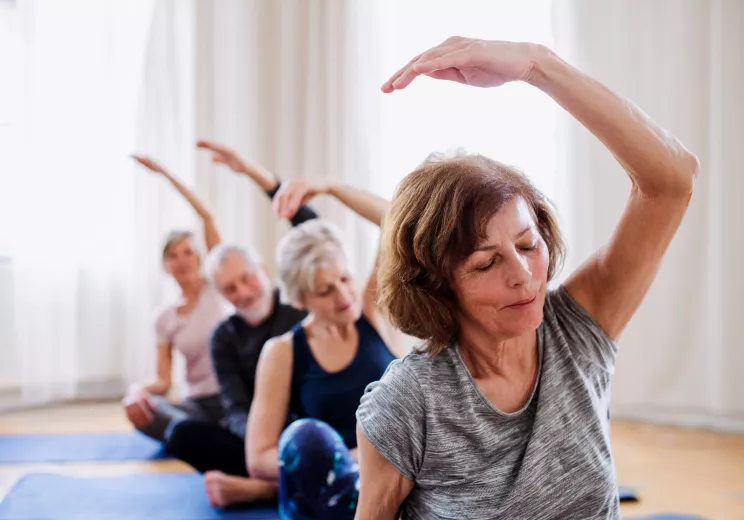 Postmenopause: treating symptoms while preserving the vaginal microbiota