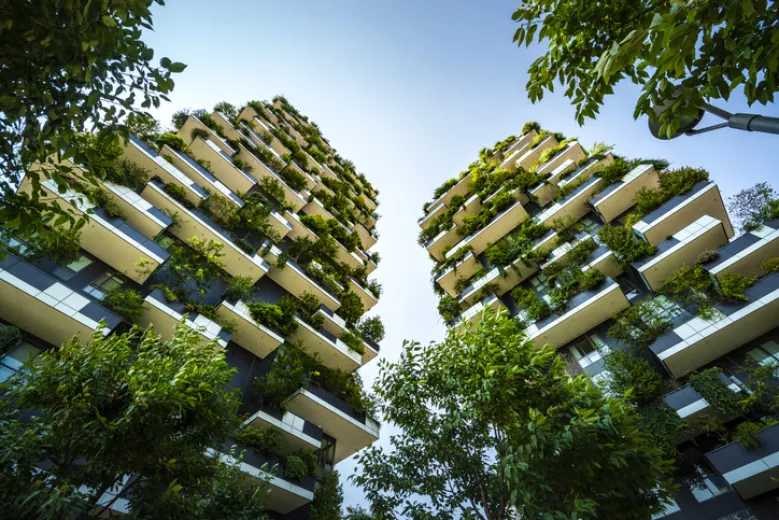 Actu GP : Comment l’urbanisation influence-t-elle notre microbiote ?