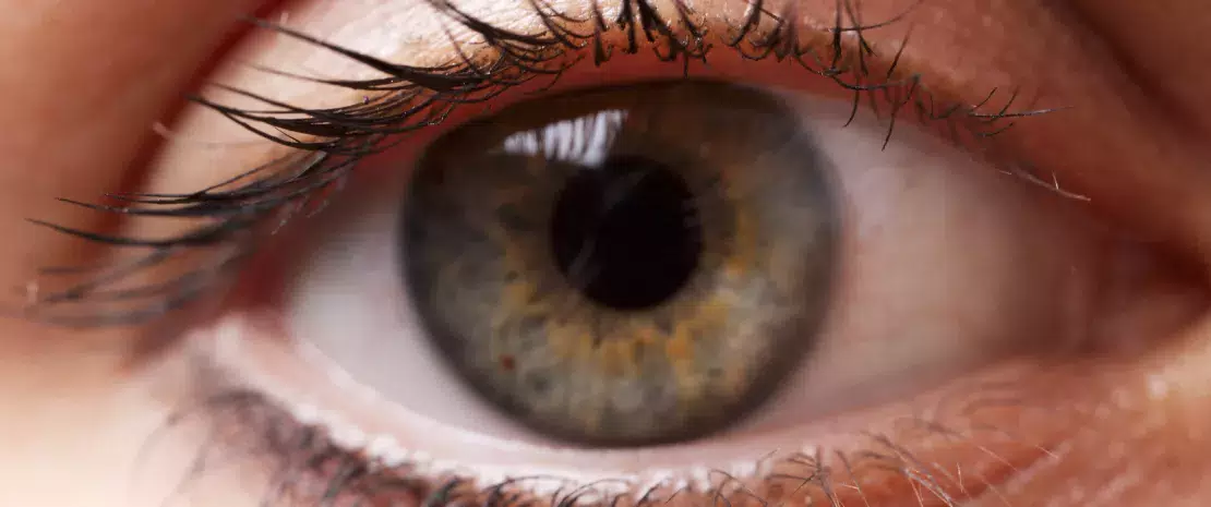 Open eye of young woman showing green pupil and brown eyelashes