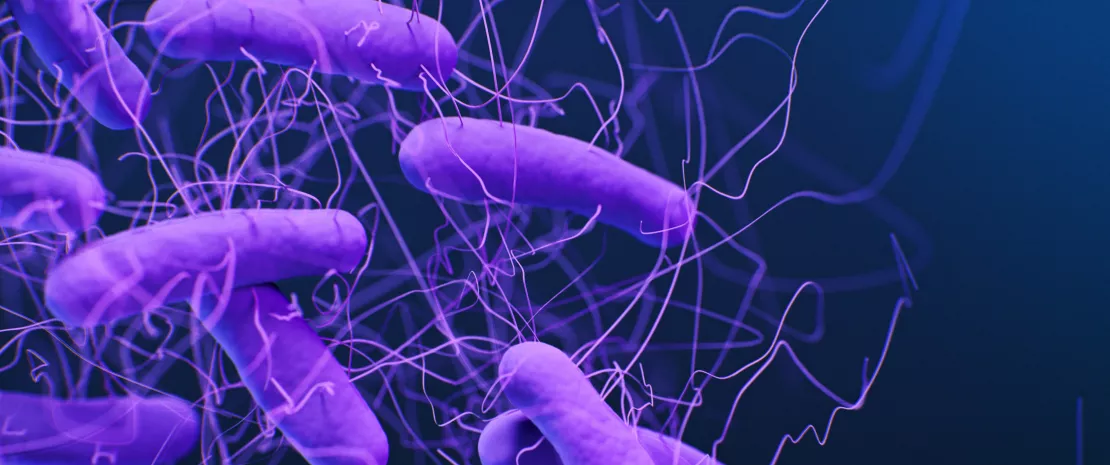 Illustration of the bacteria Clostridioides difficile.