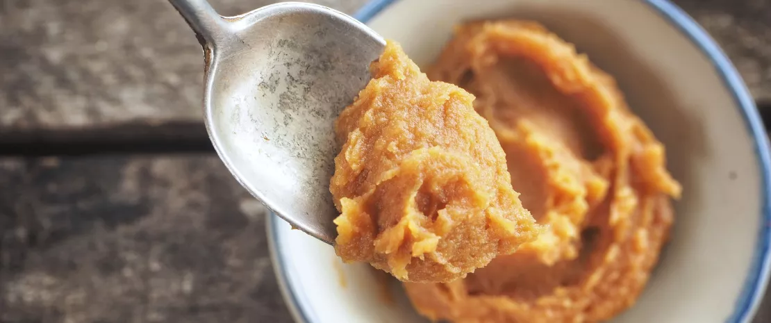 The beneficial—and sometimes paradoxical—effects of miso