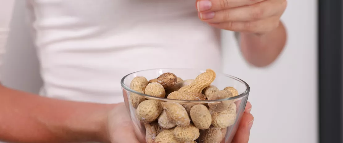 Peanut anaphylaxis: microbiota modulates severity 