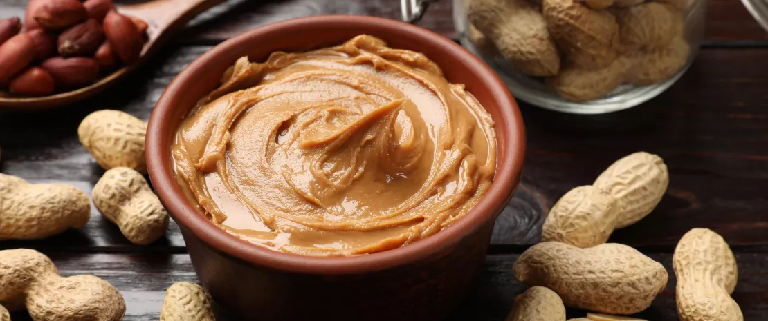  Peanut allergy: microbiota makes a difference