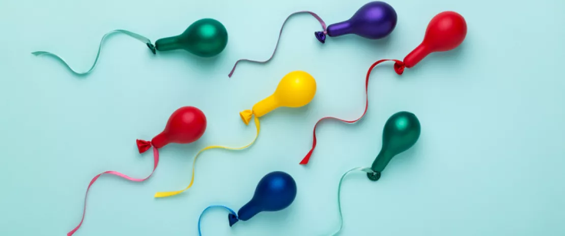 Actu GP : Le sperme, reflet du microbiote intime de l’homme
