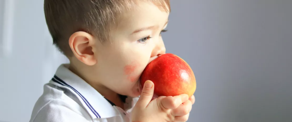 Actu GP : Eczéma + staphylocoque doré = risque accru d’allergies alimentaires ?