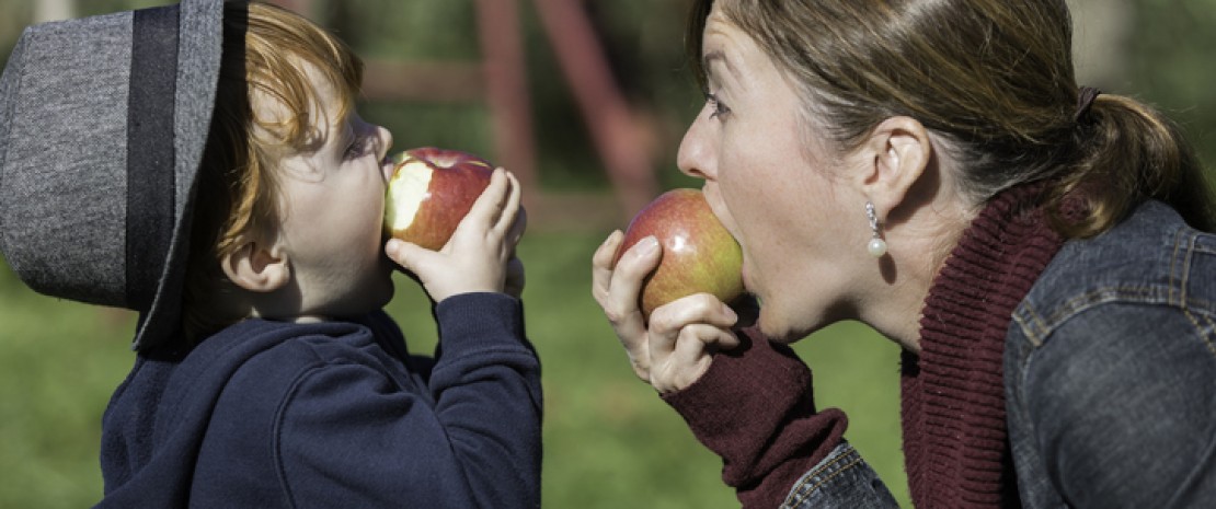 Actu GP : Mangez des pommes, c’est bon pour votre microbiote intestinal !