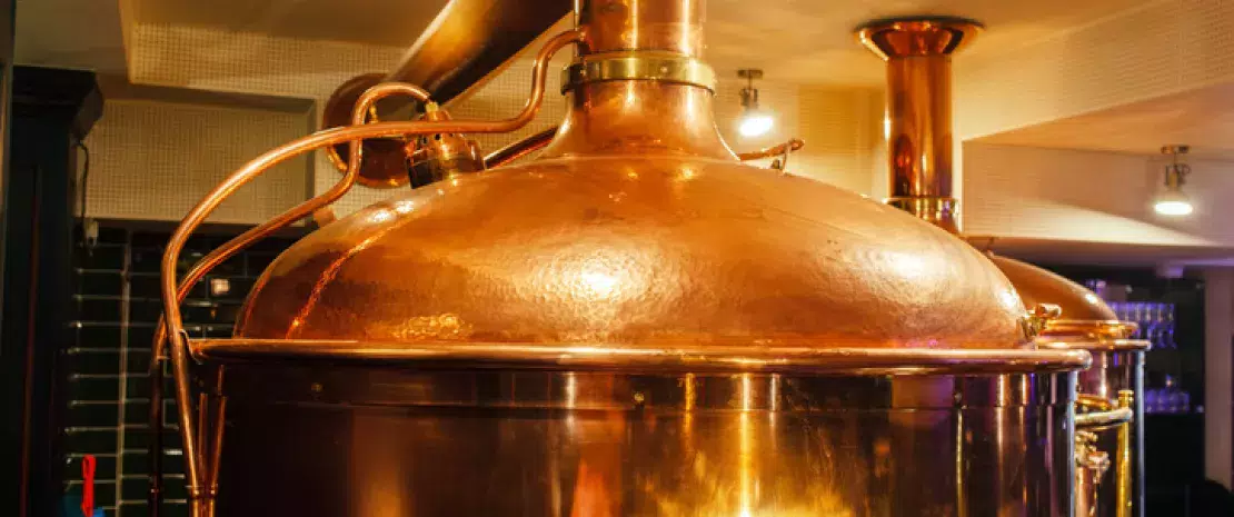 Actu GP : Bière sans alcool, le microbiote intestinal en raffole !