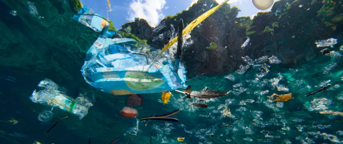 Actu GP : Océan de plastique : menace sur les bactéries marines