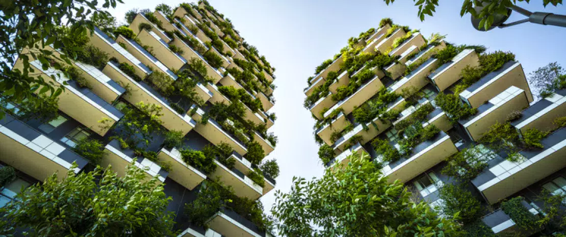 Actu GP : Comment l’urbanisation influence-t-elle notre microbiote ?