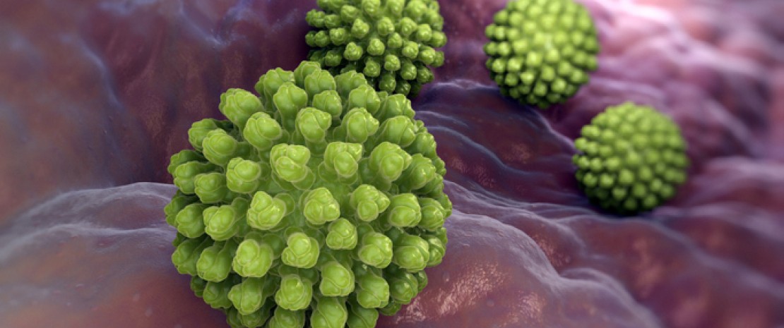 Photo : The microbiota as a barrier against rotavirus