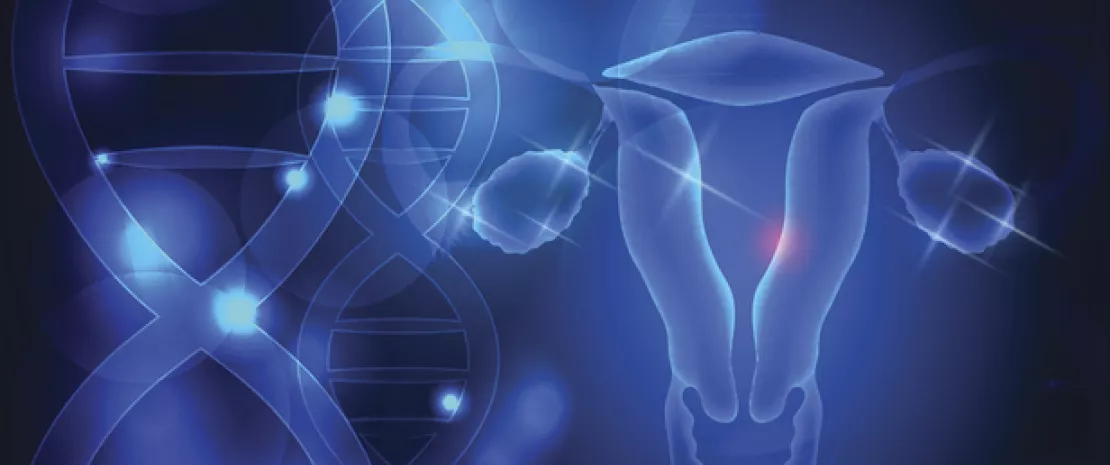 Actu PRO : Un catalogue des gènes du microbiote vaginal