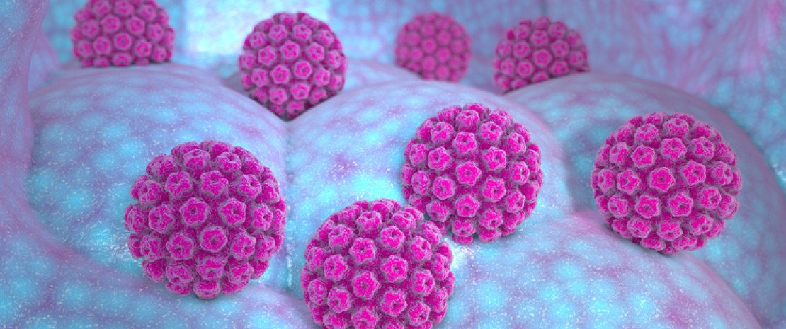 Photo : Vaginal microbiota: a marker for papillomavirus progression?