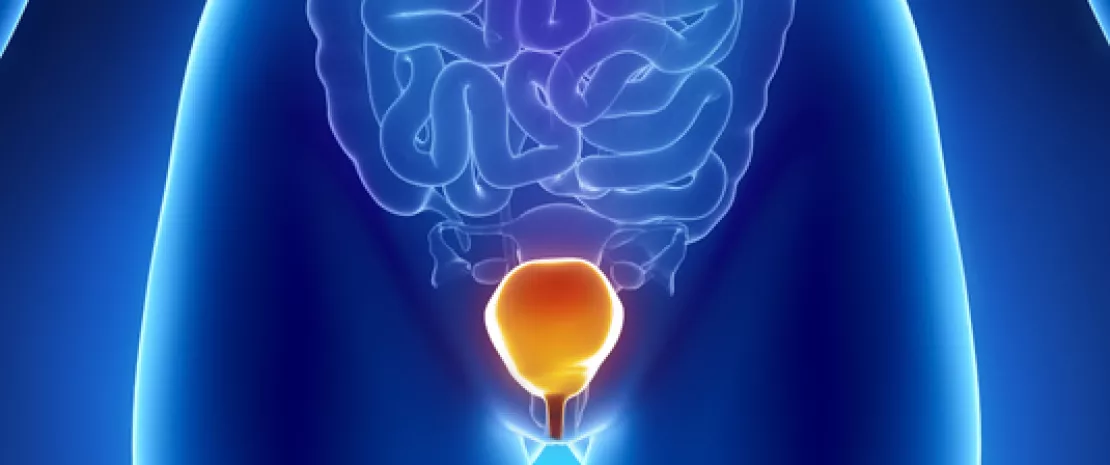 Photo : Urinary microbiota in continent women: the effect of age