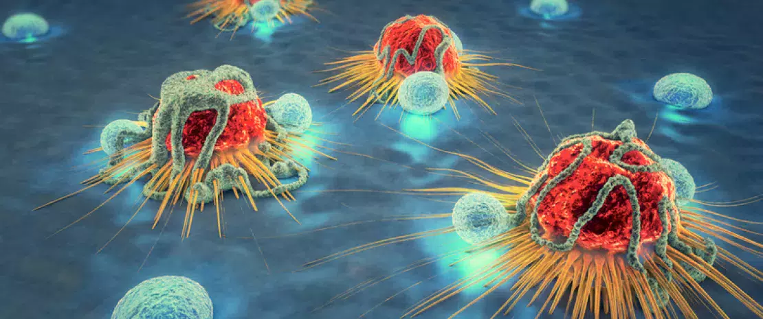 Photo : Bacteria that deliver treatment to the heart of the tumor