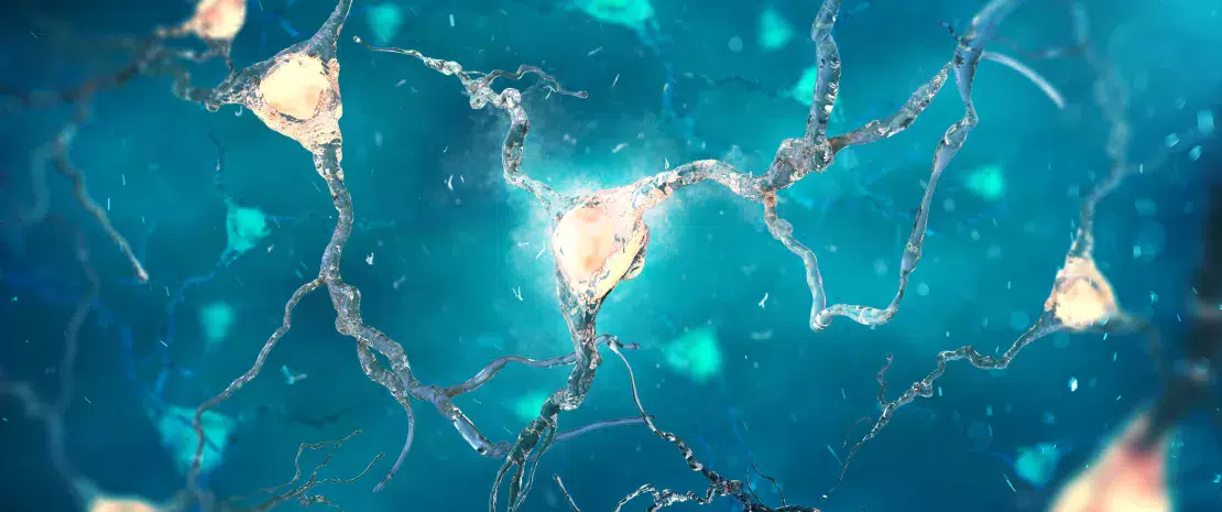 Actu PRO : Maladie d’Alzheimer : implication du microbiote buccal confirmée