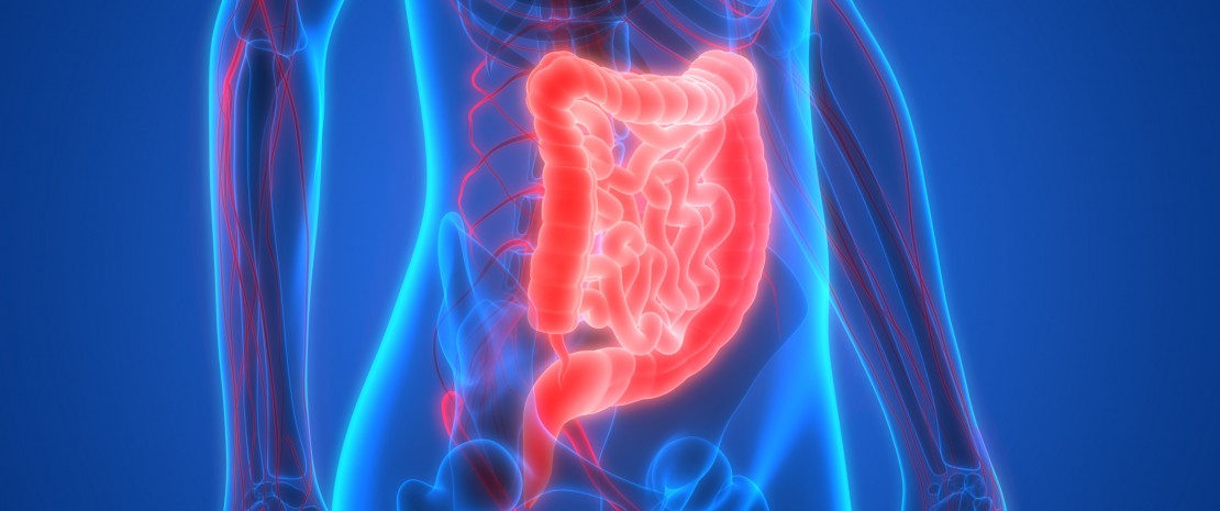 Actu PRO : Crohn : le microbiote iléal, facteur prédictif de récidive ? 