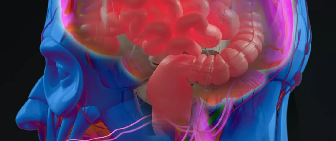 Photo : Depression: towards confirmation of a gut-brain dialogue?