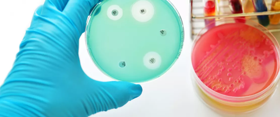 Actu PRO : La transplantation fécale, solution à l’antibiorésistance chez les patients immunodéprimés ?