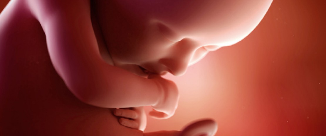 Actu PRO : Microbiote fœtal : la fin d’une controverse ?