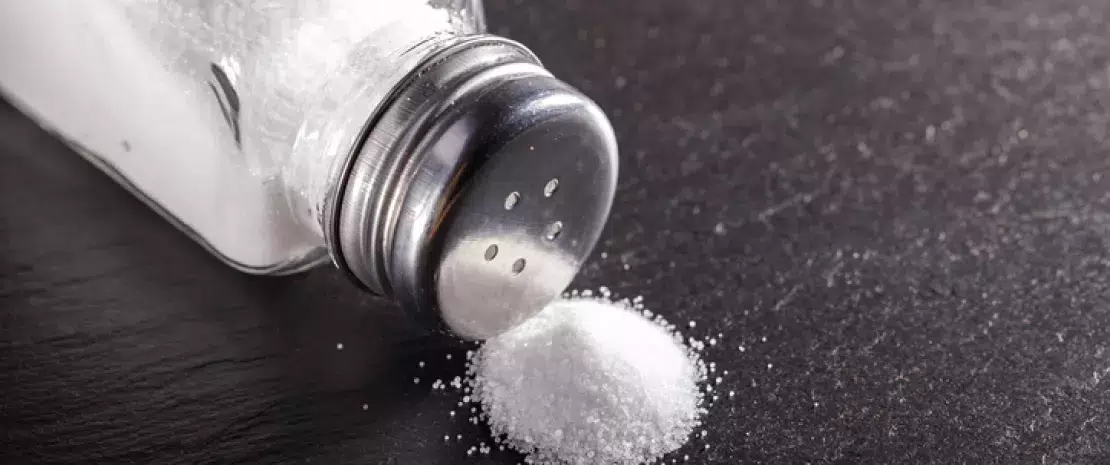 Actu GP : Hypertension : quand le microbiote met son grain de sel  