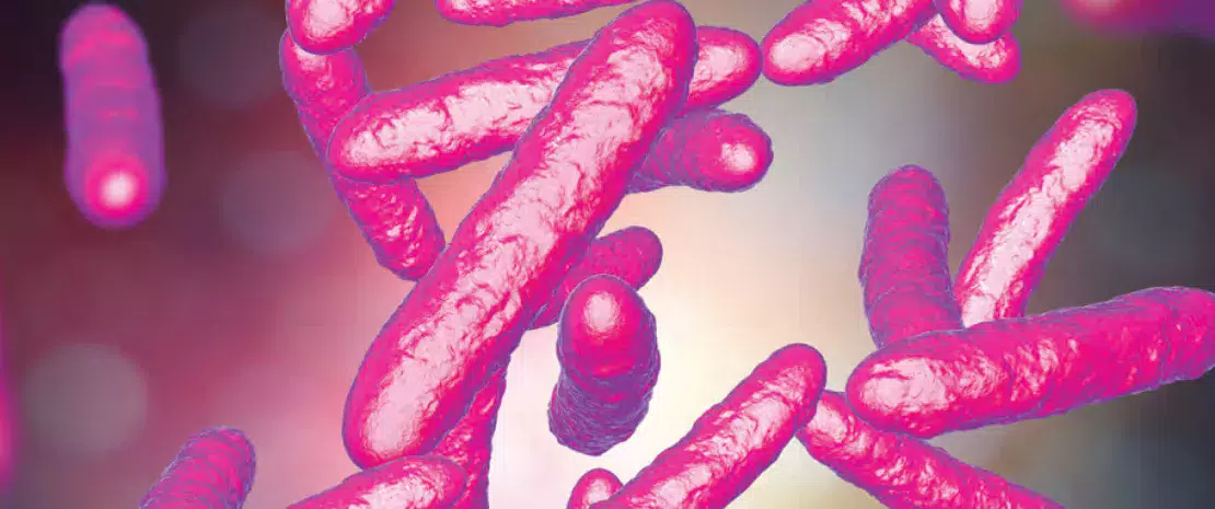 Bandeau_Article5_NL10