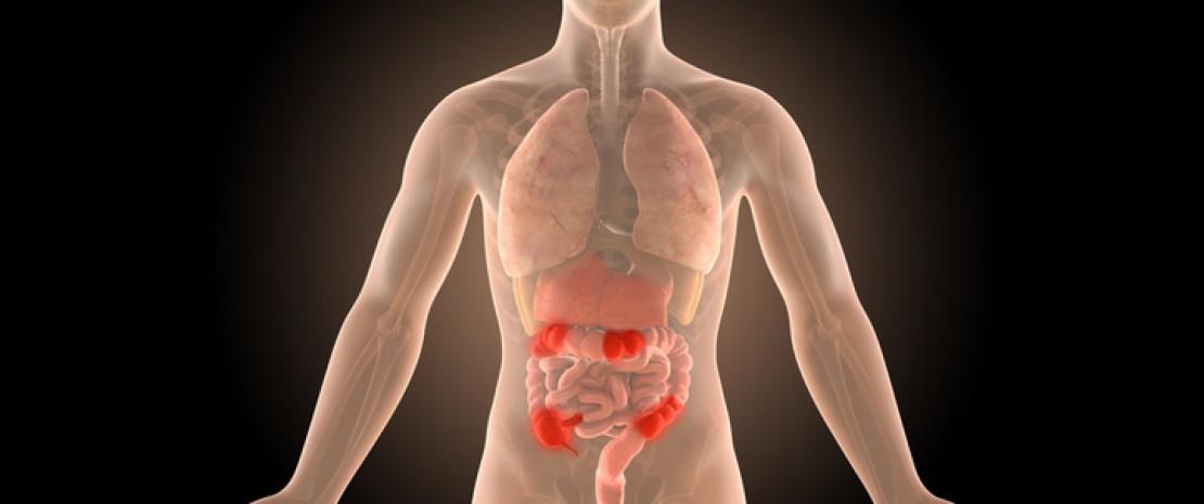 Photo : Gut microbiota as a predictor of recurrence of Crohn’s disease