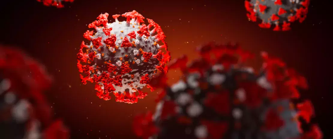 Photo : Gut microbiota and covid-19: what the experts know and what they suspect