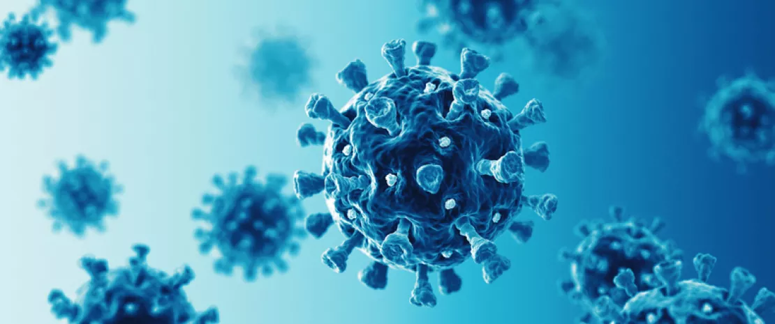 Photo : How does Covid-19 affect the gut microbiota?