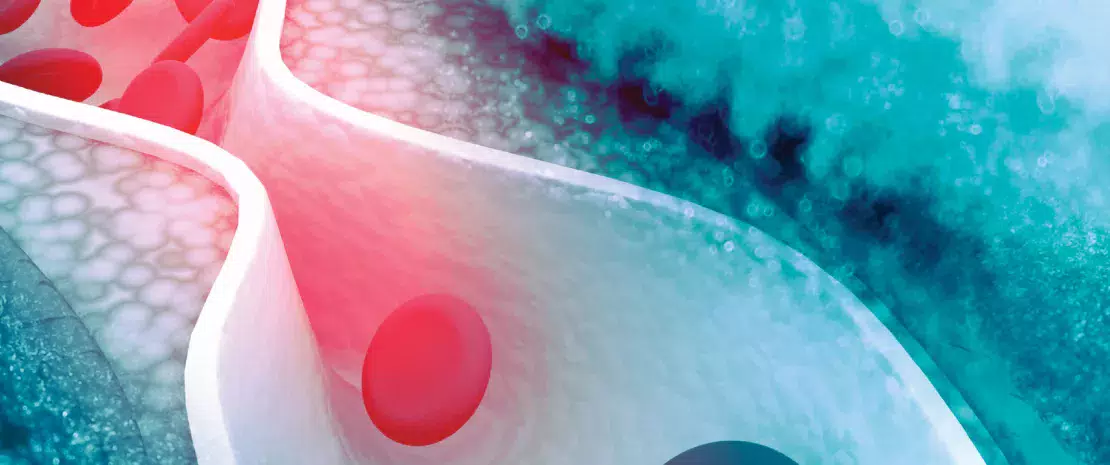Article2_Bandeau-Microbiota_NL11_FR.jpg