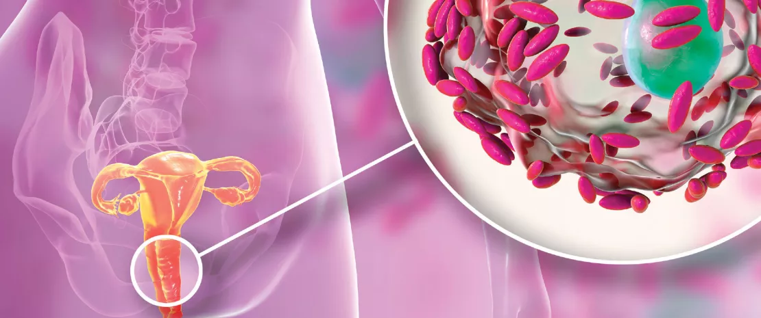 Bandeau-Microbiota_NL11_FR.jpg
