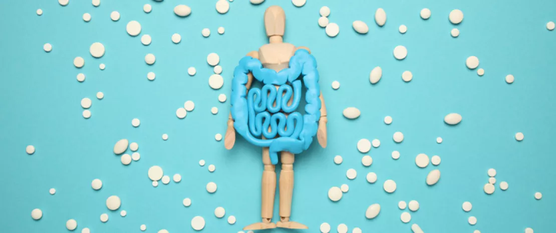 Actu GP : Antibiotiques : quels impacts sur le microbiote intestinal ?