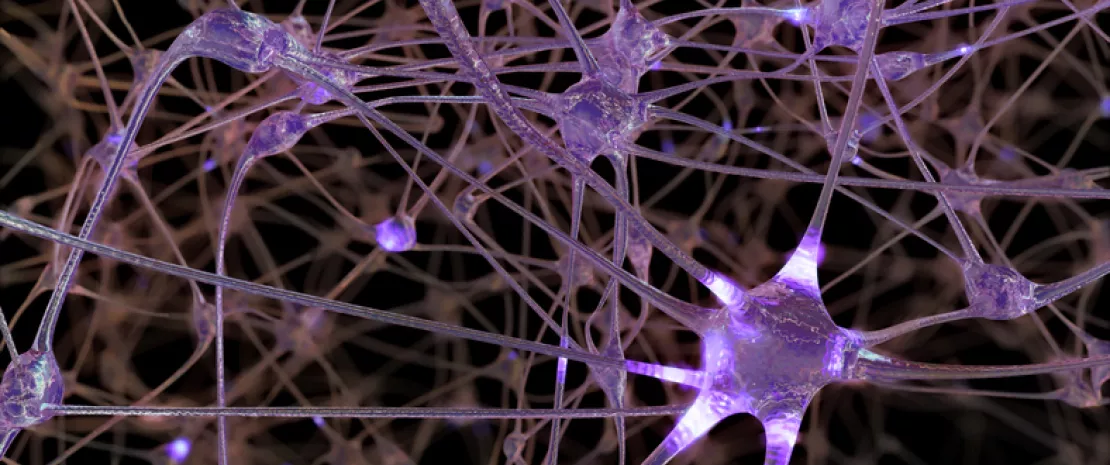 Actu PRO : Alcoolisme : expliquer les troubles sociaux grâce au microbiote