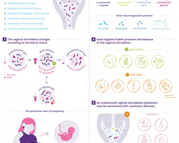 5 things to know about vaginal microbiota EN