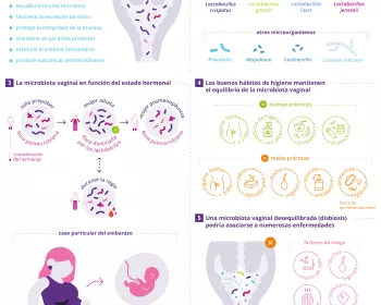 5 things to know about vaginal microbiota ES