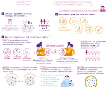 [Infographie] Qu'est-ce que le Syndrome de l'Intestin Irritable (SII)_FR VF
