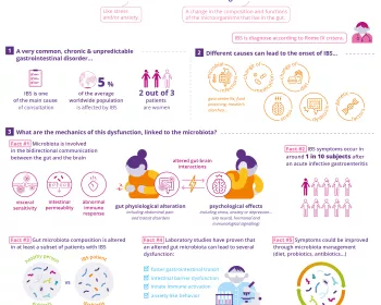 [infography] What is the Irritable Bowel Syndrome (IBS)_EN