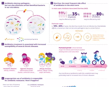 [infography] What you should know about antibiotics_EN
