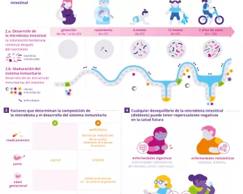 [Infografia] La importancia de los 1000 primeros dias de vida ES