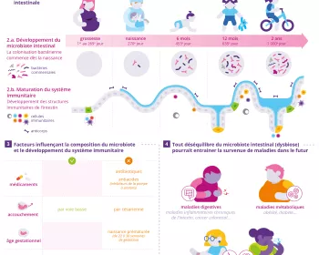 [Infographie] Importance 1000 premiers jours de vie_FR