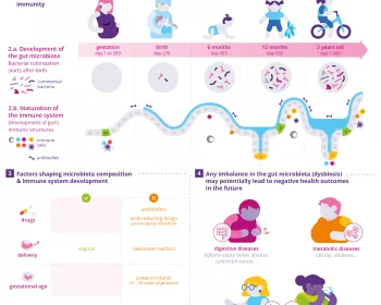 [Infography] The first 1000 days of life_EN